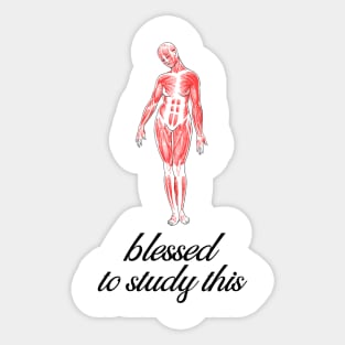 Blessed To Study This Anatomy - Medical Student in Medschool Sticker